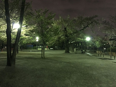 夜の公園 Scratch用フリー写真 Photo480x360