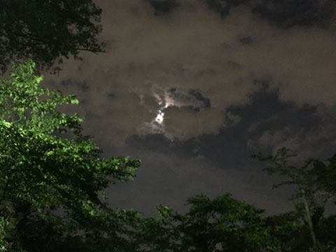 夜空 Scratch用フリー写真 Photo480x360